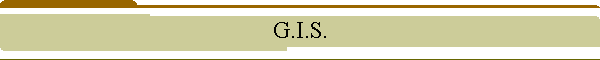 G.I.S.
